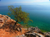 Lin, Pogradec, Kor county, Albania: view over lake Ohrid - photo by J.Kaman