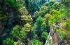 Blue Mountain, New South Wales, Australia: rainforest from above, Blue Mountains National Park - photo by G.Scheer