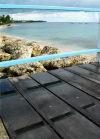 Caribbean - Shermans - St Peter Parish: rails and rocks - photo by P.Baldwin