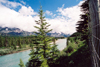 Canada / Kanada - Canmore, Alberta: following the Bow river - photo by M.Torres