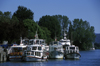 Valdivia, Los Ros, Chile: tour boats at anchor at the docks  the river system feeds into the Pacific Ocean - photo by C.Lovell