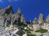 Corsica - Monte d'Oro area (Haute Corse): needles (photo by J.Kaman)