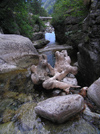 Manganello river valley: eroded roots (photo by J.Kaman)