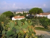 Corsica - Saint-Florent: cactus and rural landscape (photo by J.Kaman)