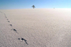 Czech Republic - Krkonose mountains: white desert - photo by J.Kaman