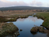 Czech Republic - Jizera Mountains / Jizerske hory: stream and pond - Liberec Region - photo by J.Kaman