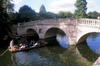 England (UK) - Cambridge (Cambridgeshire): Cambridge: punting on the river Cam - bridge (photo by Anamit Sen)