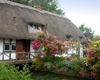 England (UK) - Alresford (Hampshire): English cottage (photo by T.Marshall )