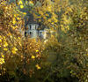 La Varenne, Val-de-Marne, Ile-de-France: manor house lost in the trees - photo by Y.Baby