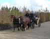 France - Versailles (Yvelines): horse carriage (photo by J.Kaman)