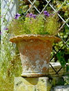 Channel islands - Sark - bailliage de Guernesey: old vase by a fence - photo by T.Marshall