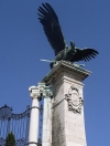 Hungary / Ungarn / Magyarorszg - Budapest: statue of the Turul on Castle Hill (photo by J.Kaman)