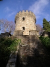 Ireland - Powerscourt mansion (county Wicklow): guard tower - Pepper Pot Tower (photo by R.Wallace)