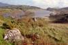 Ireland - Kenmare (county Kerry):  Ring of Kerry - co Kerry (photo by M.Bergsma)