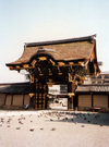 Japan - Kyoto: pigeons guarding the Nijojo - the Shogun's palace - photo by M.Torres