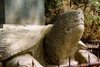 Asia - South Korea - Mt Songni, Chungcheongbuk-do province: the venerated turtle - Beopjusa Temple area - photo by G.Frysinger