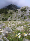 Montenegro - Crna Gora - Mount Orjen - Natural and Culturo-Historical Region of Kotor - jewel of the hinterland of the Bay of Kotor - UNESCO World Heritage site - photo by J.Kaman