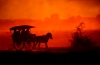 Myanmar / Burma - Nyaungshwe - Inle Lake area: coming home - cart - dusk (photo by J.Kaman)