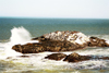 Africa - Namibia - Lderitz - Angra Pequena - Dias Cross - Diaz Point: islet - seal colony - photo by J.Stroh