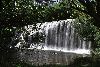 New Zealand - Central North island - Gisborne: Rere Falls (photographer: Rob Neil)