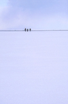Russia - Siberia (Chita oblast): landscape (photo by Bernard Cloutier)