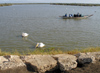 Sngal - Parc national des oiseaux du Djoud (PNOD): plicans et bateau - photographie par G.Frysinger