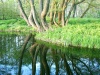 Slovakia - Slatinka nad Bebravou: peaceful river (photo by Milos Bercik)