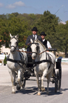 Slovenia - Lipica / Lipizza - Goriska region: Lipica stud farm - Combined driving event - the dressage test - Carriage Driving - photo by I.Middleton