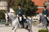 Slovenia - Stud farm in western Slovenia where the world famous lipizzaner horses perform - dressage - photo by I.Middleton