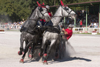 Slovenia - Lipica / Lipizza - Goriska region: Lipica stud farm - Combined driving event - Carriage Driving - racing in the 'marathon' - equestrian sport - photo by I.Middleton