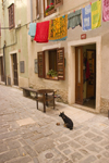 Slovenia - Piran: Narrow street - clothes line and dog - photo by I.Middleton