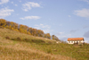 Slovenia - vineyards around Brezice, Southeast Slovenia on the border with Croatia - photo by I.Middleton