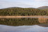 Slovenia - Pivka Valley: forest and hills reflected in Palsko lake- Karst region - photo by I.Middleton