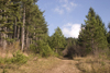 Slovenia - Cerknica municipality: Slivnica Mountain - path - photo by I.Middleton