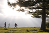 Slovenia - Cerknica municipality: Hikers on Slivnica Mountain as sun goes down over Cerknica Lake - southern part of Cerknica polje - photo by I.Middleton