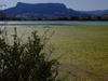 Spain - Calpe - inland - swamp - photo by M.Bergsma