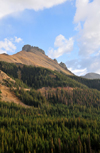 Roosevelt National Forest, Larimer County, Colorado, USA: forest and ridge - CO-14 road - Poudre Canyon Hwy - photo by M.Torres