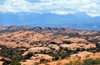 Arches National Park, Utah, USA: ancient petrified sand dunes - the dunes were hardened into stone under the overlying material, later eroded - photo by M.Torres