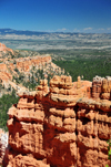 Bryce Canyon National Park, Utah, USA: Sunset Point - hoodoos in the making - photo by M.Torres