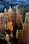 Bryce Canyon National Park, Utah, USA: Fairyland Point - hoodoos at sunrise - photo by B.Cain