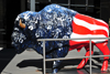 Oklahoma City, OK, USA: Devon Energy building - plastic buffalo with the American colors - North Broadway avenue - photo by M.Torres